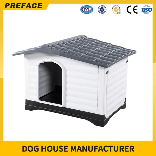 Fabricante à prova de chuva interior exterior canis para animais de estimação grande casa de cachorro de plástico ao ar livre com janela